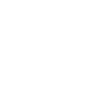 project By