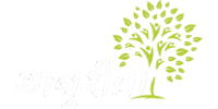 Amuli